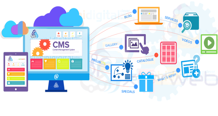 CMS Development