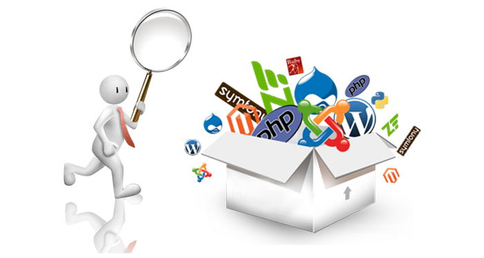 custom-php-website