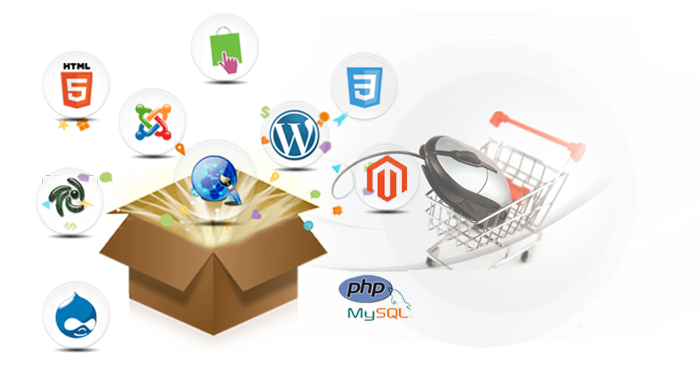 CUSTOM ECOMMERCE WEBSITE DEVELOPMENT